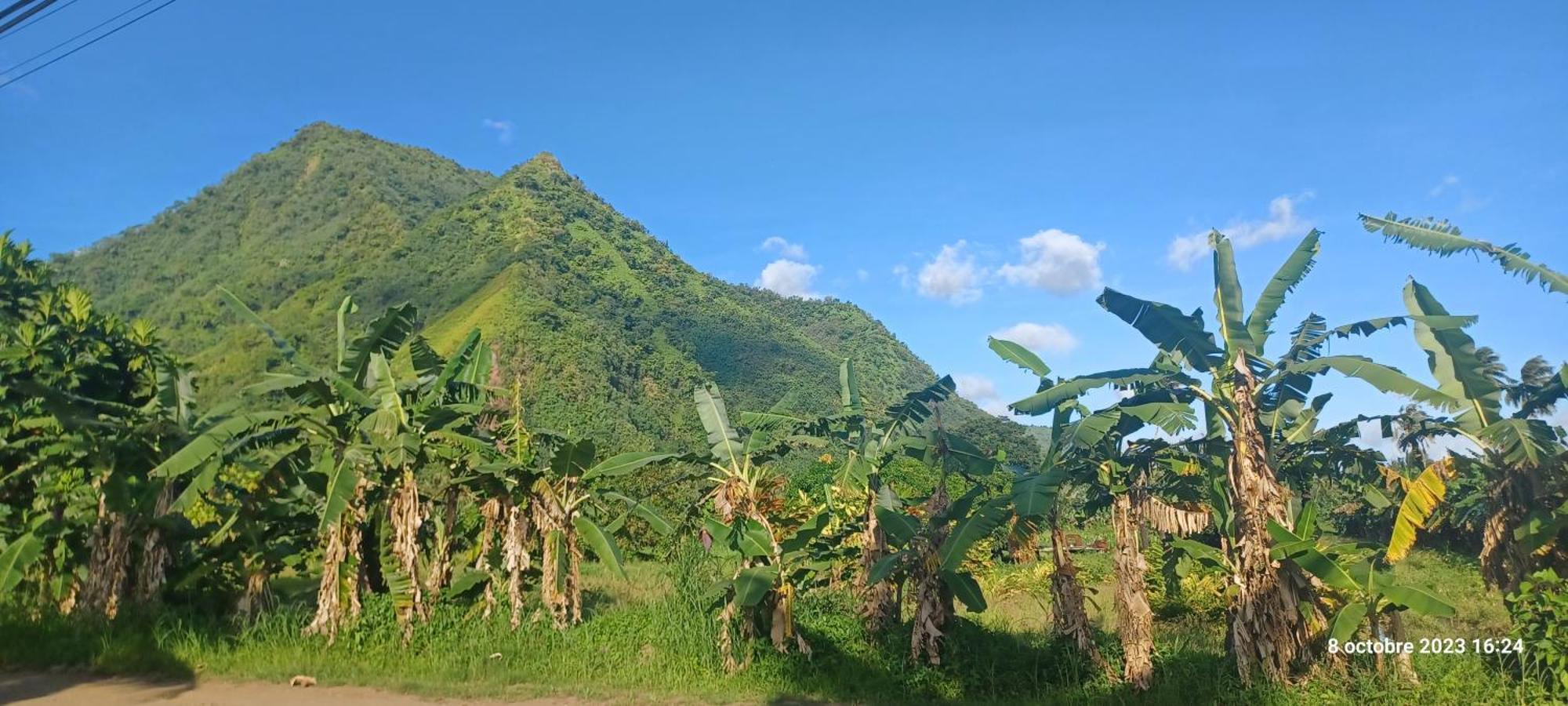 Hava'E Lodge Teahupoo Εξωτερικό φωτογραφία